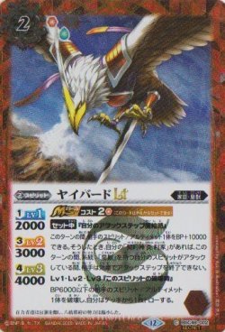 画像1: 【SECRET】BSC48 ヤイバードLT