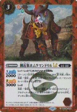 画像1: 【SECRET】BSC48 側近衆ホムラマンドリルLT