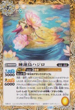 画像1: 【C】BS74　睡蓮鳥ハジロ