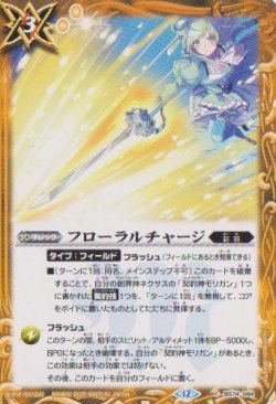 画像1: 【C】BS74　フローラルチャージ