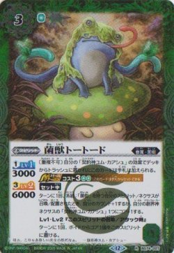 画像1: 【R】BS74　菌獣トートード