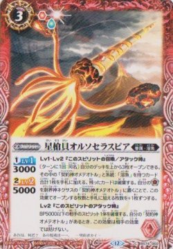 画像1: 【C】BS74　星槍貝オルソセラスピア