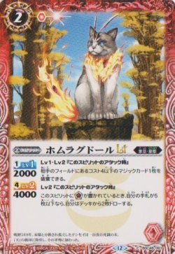 画像1: 【C】BSC48 ホムラグドールLT