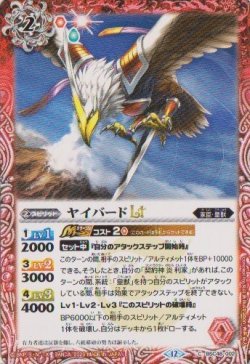 画像1: 【C】BSC48 ヤイバードLT