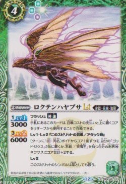 画像1: 【C】BSC48 ロクテンハヤブサLT