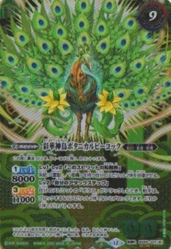 画像2: 【SECRET】BSC47 神緑の孔雀ボタニカルピーコック/彩華神鳥ボタニカルピーコック