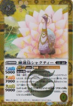 画像1: 【SECRET】BSC47 睡蓮鳥シャクティー