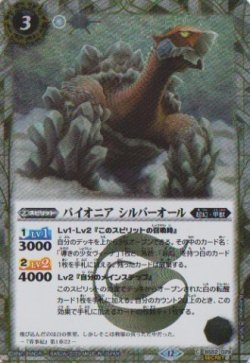 画像1: 【SECRET】BSC47 パイオニア　シルバーオール