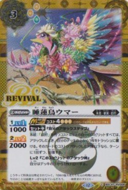 画像1: 【SECRET】BSC47 睡蓮鳥ウマー