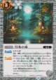 【C】BS73　月光の泉