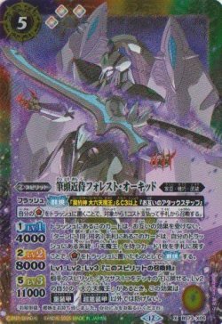 画像1: 【X】BS73　筆頭近侍フォレスト・オーキッド