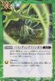 【C】BS73　バインディングファンガス