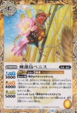 画像1: 【C】BSC47 睡蓮鳥ベニス