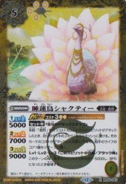 画像1: 【R】BSC47 睡蓮鳥シャクティー