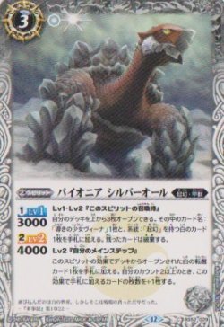 画像1: 【C】BSC47 パイオニア　シルバーオール
