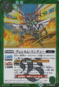 画像1: 【M】BS72　ヴェシルム・マンティー