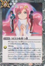 画像: 【C】CB13 SEEDを持つ者