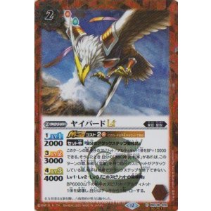 画像: 【SECRET】BSC48 ヤイバードLT