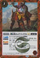 画像: 【SECRET】BSC48 側近衆ホムラマンドリルLT