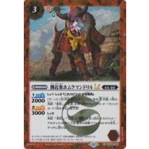 画像: 【SECRET】BSC48 側近衆ホムラマンドリルLT