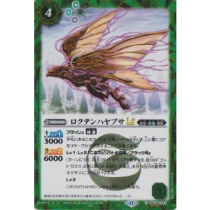 画像: 【SECRET】BSC48 ロクテンハヤブサLT