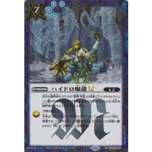 画像: 【SECRET】BSC48 ハイドロ曝龍LT