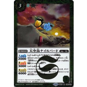 画像: 【R】BS47　天空鳥ナイルバード