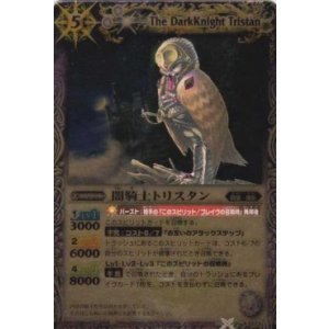 画像: 闇騎士トリスタン