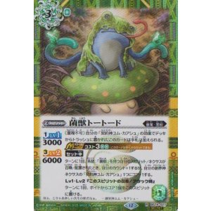 画像: 【SECRET】BS74　菌獣トートード