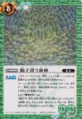 画像: 【C】BS74　胞子漂う密林