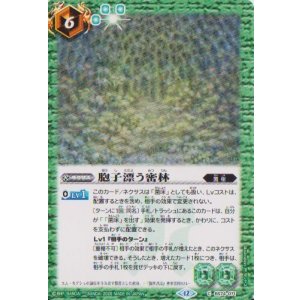 画像: 【C】BS74　胞子漂う密林