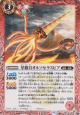 画像: 【C】BS74　星槍貝オルソセラスピア