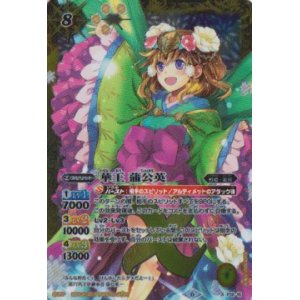 画像: 【X】BSC34　華王　蒲公英