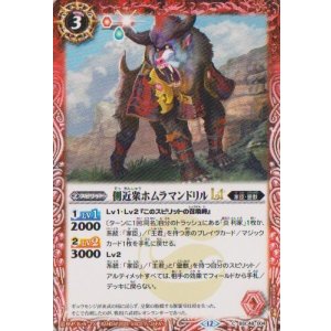 画像: 【C】BSC48 側近衆ホムラマンドリルLT