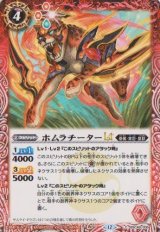 画像: 【C】BSC48 ホムラチーターLT