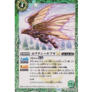 画像: 【C】BSC48 ロクテンハヤブサLT
