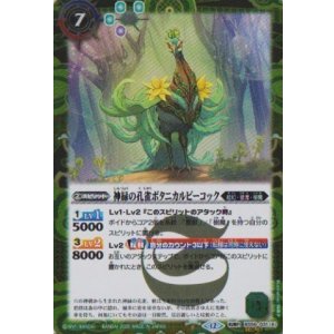 画像: 【SECRET】BSC47 神緑の孔雀ボタニカルピーコック/彩華神鳥ボタニカルピーコック