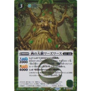 画像: 【SECRET】BSC47 西の大樹ワーズワース