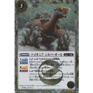 画像: 【SECRET】BSC47 パイオニア　シルバーオール