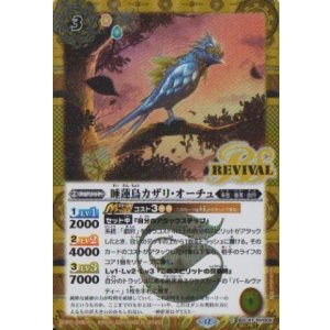 画像: 【SECRET】BSC47 睡蓮鳥カザリ・オーチュ