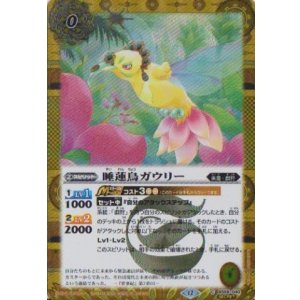 画像: 【SECRET】BSC47 睡蓮鳥ガウリー