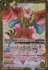 画像: 【M】BS73　睡蓮大鳥チャンディー