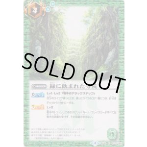 画像: 【C】BS41　緑に飲まれた寺院