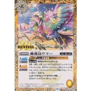 画像: 【C】BSC47 睡蓮鳥ウマー