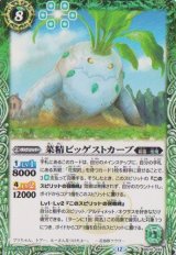 画像: 【C】BS72　菜精ビッゲストカーブ