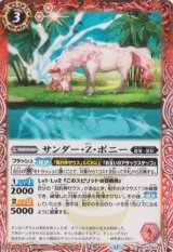 画像: 【C】BS72　サンダー・Z・ポニー
