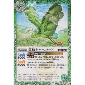 画像: 【C】BS72　菜精キャベバード