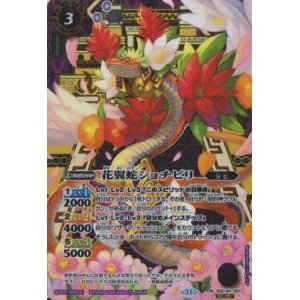 画像: 【SECRET】BSC44 花翼蛇ショチピリ