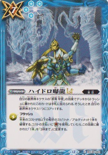 画像1: 【C】BSC48 ハイドロ曝龍LT